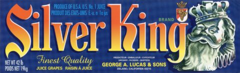 Silver King